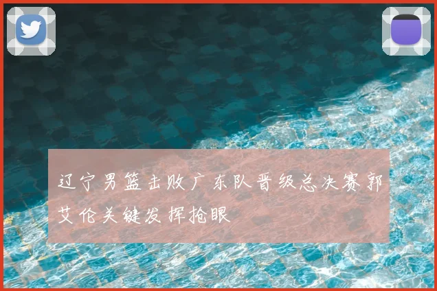 辽宁男篮击败广东队晋级总决赛郭艾伦关键发挥抢眼