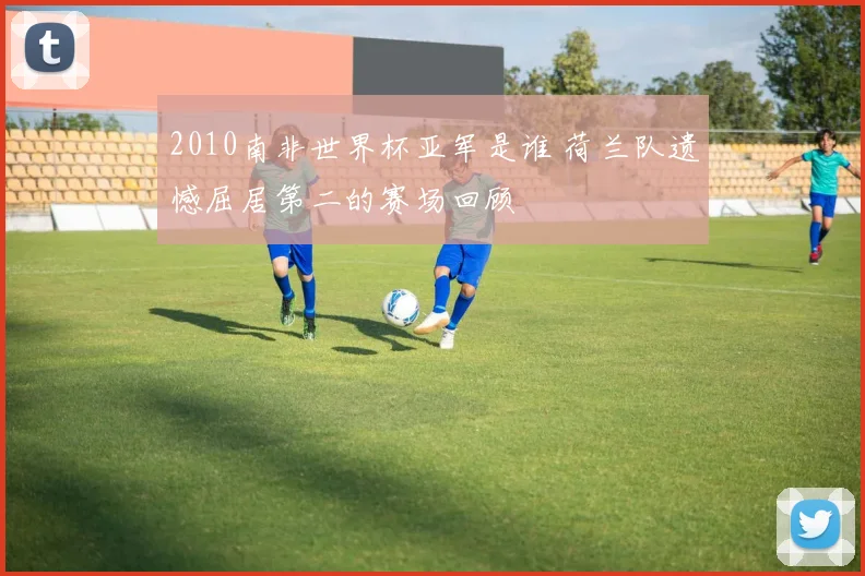 2010南非世界杯亚军是谁 荷兰队遗憾屈居第二的赛场回顾