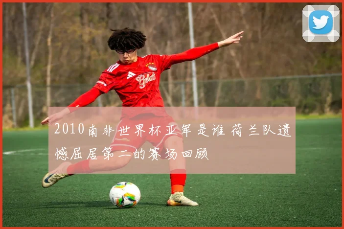 2010南非世界杯亚军是谁 荷兰队遗憾屈居第二的赛场回顾