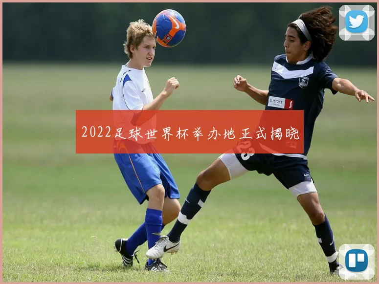 2022足球世界杯举办地正式揭晓