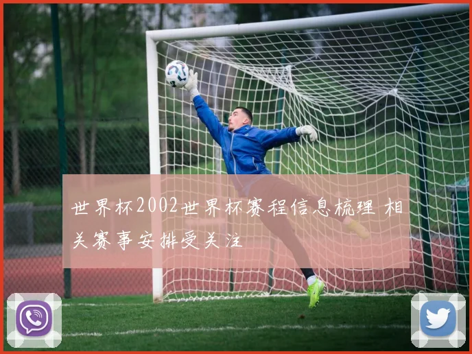 世界杯2002世界杯赛程信息梳理 相关赛事安排受关注