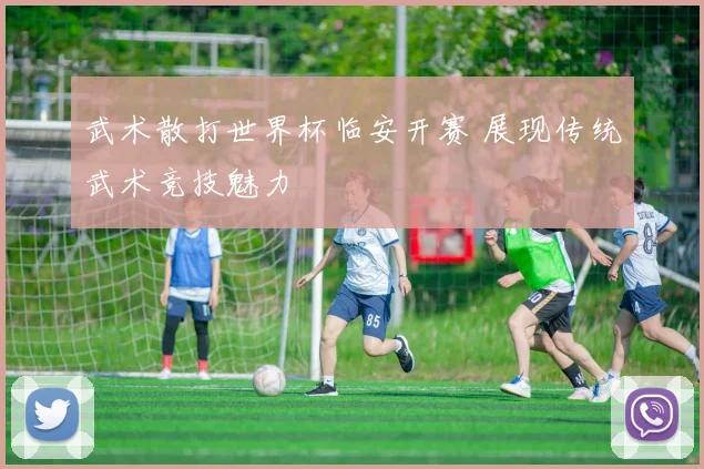 武术散打世界杯临安开赛 展现传统武术竞技魅力