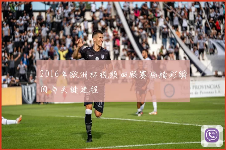 2016年欧洲杯视频回顾赛场精彩瞬间与关键进程