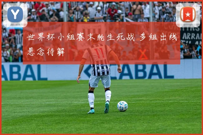 世界杯小组赛末轮生死战 多组出线悬念待解