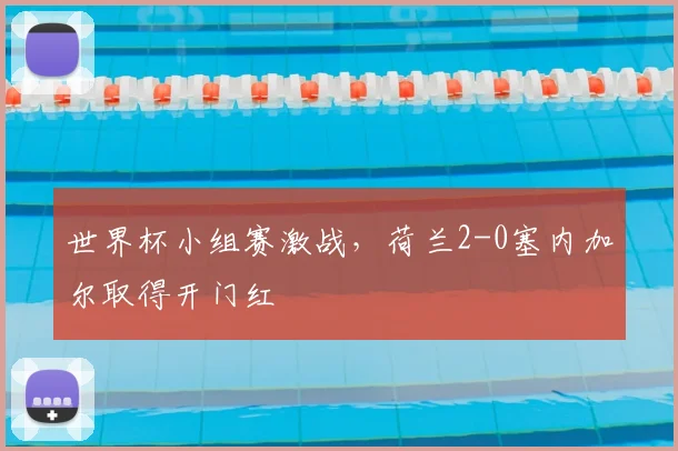 世界杯小组赛激战,荷兰2-0塞内加尔取得开门红