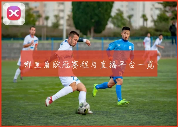 哪里看欧冠赛程与直播平台一览