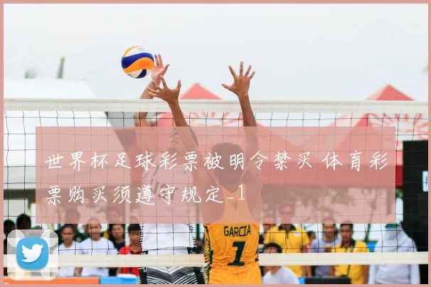 世界杯足球彩票被明令禁买 体育彩票购买须遵守规定_1