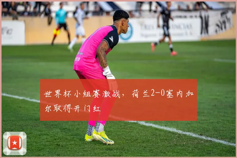世界杯小组赛激战,荷兰2-0塞内加尔取得开门红