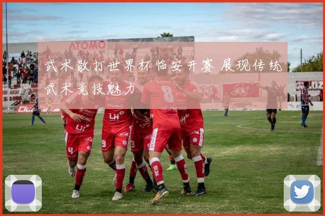 武术散打世界杯临安开赛 展现传统武术竞技魅力
