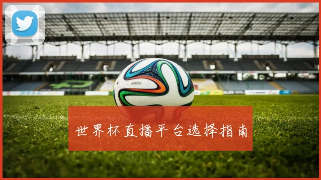 世界杯直播平台选择指南