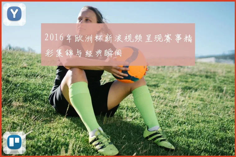 2016年欧洲杯新浪视频呈现赛事精彩集锦与经典瞬间