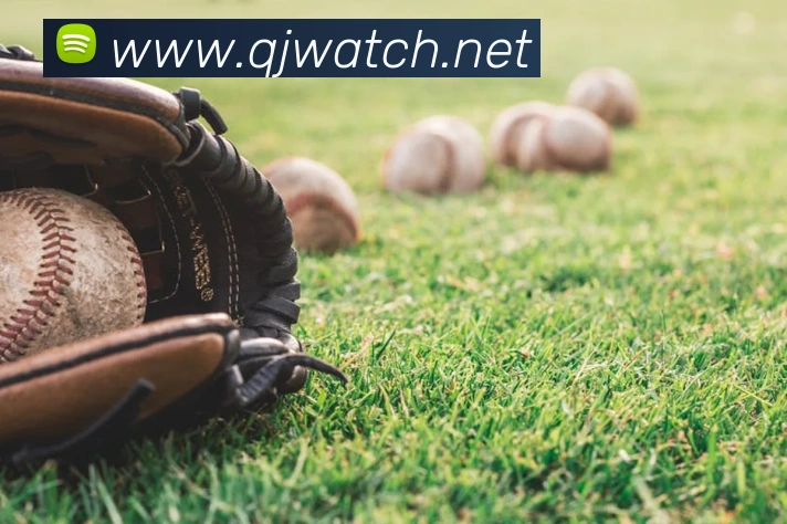 世界杯开户平台平台生态图